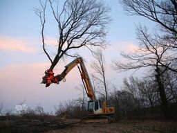 WesttecH Westtech CS780 / Greifersäge / Fällkopf / sofort