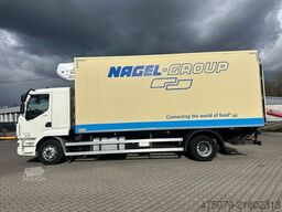 DAF LF 260 / Thermo King 1000 R Spectrum / LBW