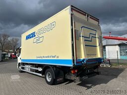 DAF LF 260 / Thermo King 1000 R Spectrum / LBW