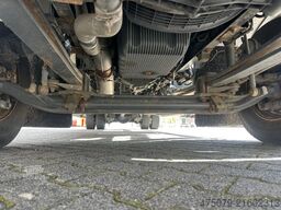 DAF LF 260 / Thermo King 1000 R Spectrum / LBW