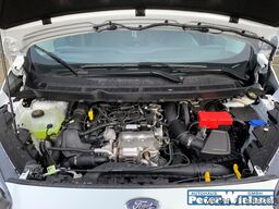 Ford Transit Courier Trend 1.0 EcoBoost EU6d TREND 1.0L EB DAB SHZ Notbremsass. Tel.-Vorb.