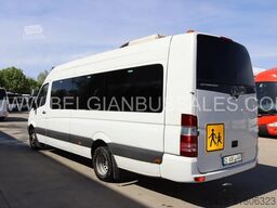 Mercedes-Benz Sprinter 516 / Travel / Transfer 45/Retarder