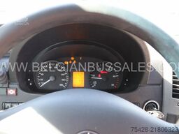 Mercedes-Benz Sprinter 516 / Travel / Transfer 45/Retarder