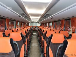 Iveco Evadys 13m / NEW / Rear door / 6x units / 3-poi...