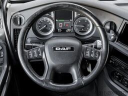 DAF XF 460 FT SSC + INTARDER + ALCOA + BLATT/LUFT ZV
