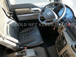 MAN TGM 18.290 Pferdetransport Wohnwagen
