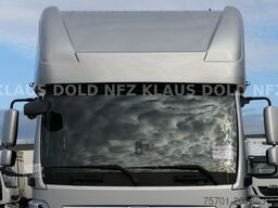 MAN TGM 18.290 Pferdetransport Wohnwagen