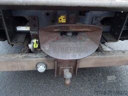 SCANIA P 320*7,3m Schwenkwand*Lift/Lenk*LBW*2x AHK*Diff