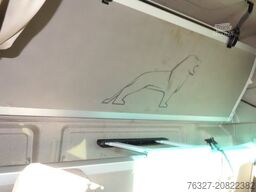 MAN TGX 18.460 4X2 BLS SZM Weiß 725523km(88 Jö)