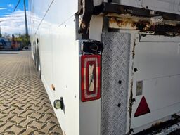 LANGENDORF SDF | Alu-Felgen | Doppelstock | Ladebordwand