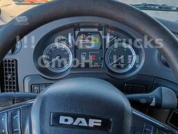 DAF XF 460 / SSC / Mega / German