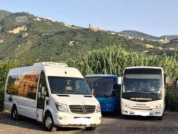 Mercedex 519 Sitcar