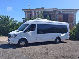 Mercedex 519 Sitcar