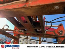 Steinweg Palettenzange