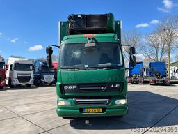 DAF LF 55 FA