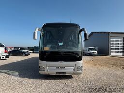 MAN R08 Lion?s Couch