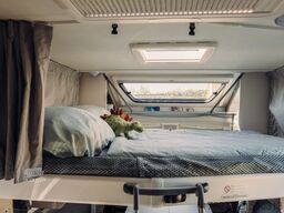 Carado T 448 Pro+ Fiat