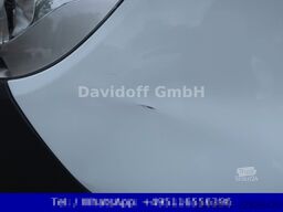 MERCEDES-BENZ Sprinter III Kasten RWD/AWD/MAXI/314CDI/FN:180