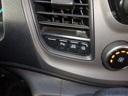 FORD Nugget L1 185PS Aut. Aufstelldach Xenon Navi AHK