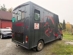 Renault Master Theault Horse Transporter