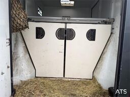 Renault Master Theault Horse Transporter