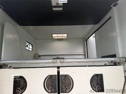 Renault Master Theault Horse Transporter
