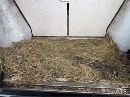 Renault Master Theault Horse Transporter