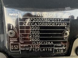 IVECO Daily Kipper 35C160 Diesel *AHK3,5t* Werkzeugbox