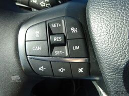 FORD Nugget Plus 150PS Autm. Navi AHK Park-Assist ACC