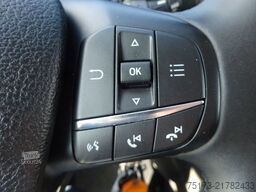 FORD Nugget Plus 150PS Autm. Navi AHK Park-Assist ACC