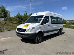 Mercedes-Benz 315 CDI 4x4 20 Plätze / Swiss-Vehicle