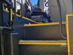 TEMSA Prestij SX Novo Lux Daily