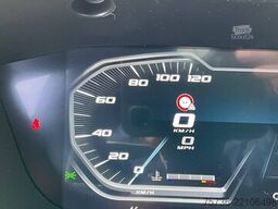 DAF FAG XD 300 Euro 6 Geesink 20m³