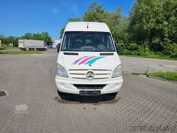 MERCEDES-BENZ Transfer 45, Sprinter 516 CDI, hydr. Tür, 16+1
