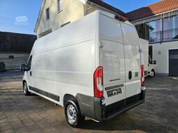 Fiat Ducato 35 L3H3 15m³ Klima Temp 260° Kamera PDC
