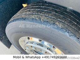 DAF XF 480 SSC BL BDF |Retarder|Alcoa|Lenk+Lift|AHK|