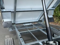  Dreiseitenkipper 3500 mit Elektropumpe