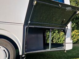 TEMSA Prestij SX Novo Lux Daily Lagerfahrzeug