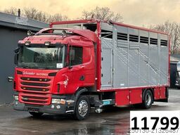 SCANIA G380 BL 4x2 1.Stock Menke-Janzen Viehw. *UNFALL*