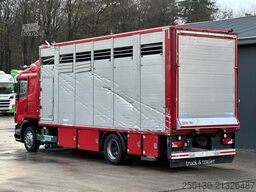 SCANIA G380 BL 4x2 1.Stock Menke-Janzen Viehw. *UNFALL*