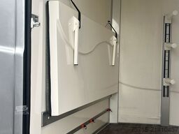 Steinsberger /Anka 3 Pferde