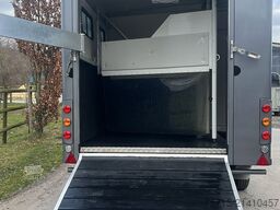 Steinsberger /Anka 3 Pferde