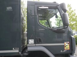 DAF LF 290 / 21 EPAL box / 2021