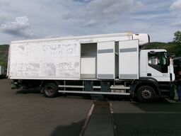 IVECO Stralis 310 AD 190S/FPD*LBW*2x Seitentür*Carrier