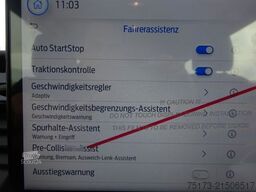 FORD Transit Kombi Trend 350 L3H2 Stndhz Bi-Xenon Nav