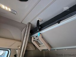 DAF XG+ 480 FT ADR EXII