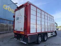 Volvo FH 13 500 6X2 26T VOITH GANADERO