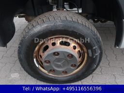 MERCEDES-BENZ Sprinter II Kasten 516 CDI 4X4/Klima/AHK/NR. B87