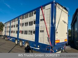 Finkl 3 Stock Hubdach Typ 2  