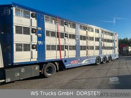 Finkl 3 Stock Hubdach Typ 2  